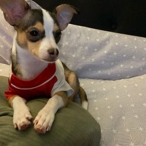 Meet your Posher, Benjamin